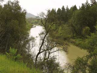 Russian River